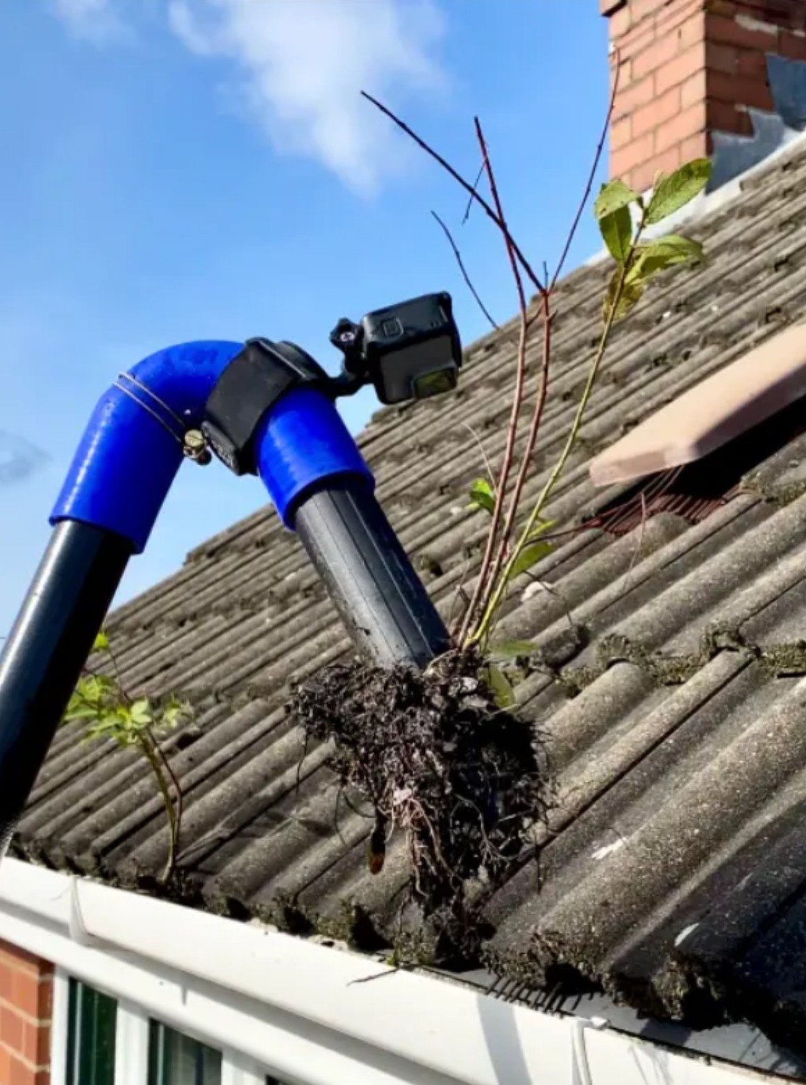Soffit Cleaning